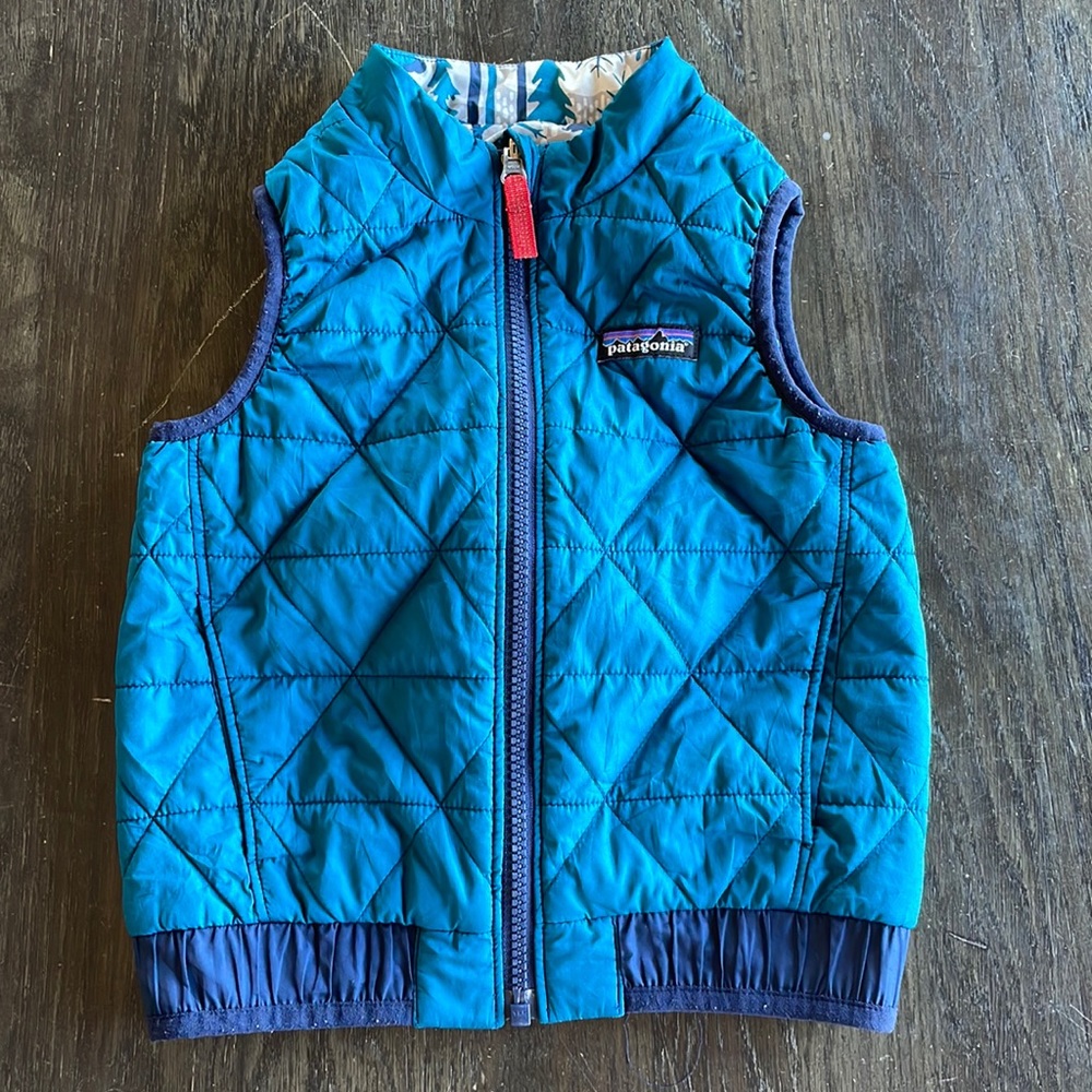 Adorable Patagonia toddler Vest- reversible!